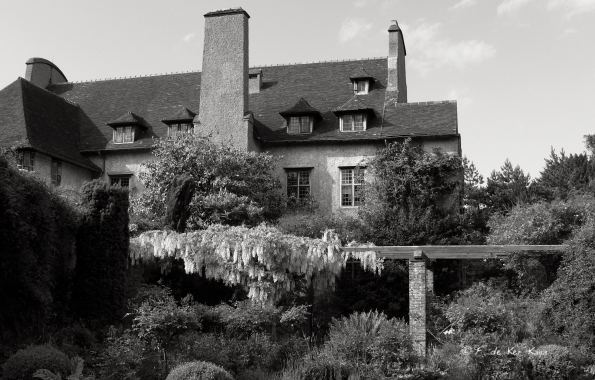 Bois des Moutiers (2) Juin 2012